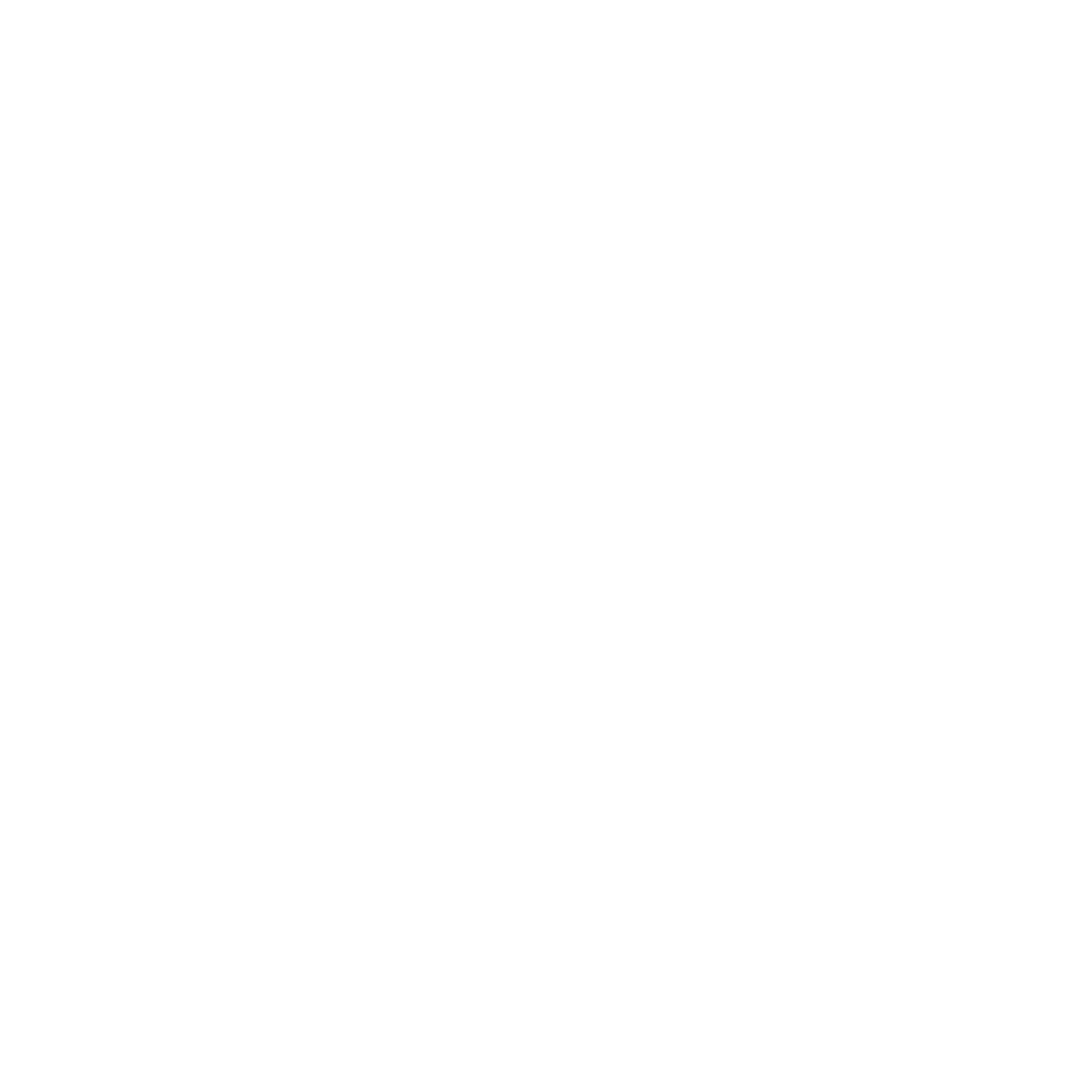 icon of health record